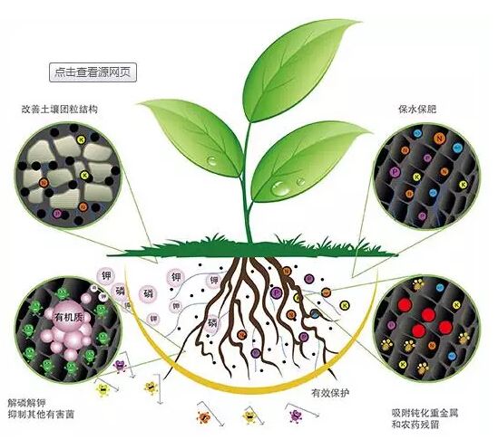 科學(xué)施用生物菌肥好處多多！