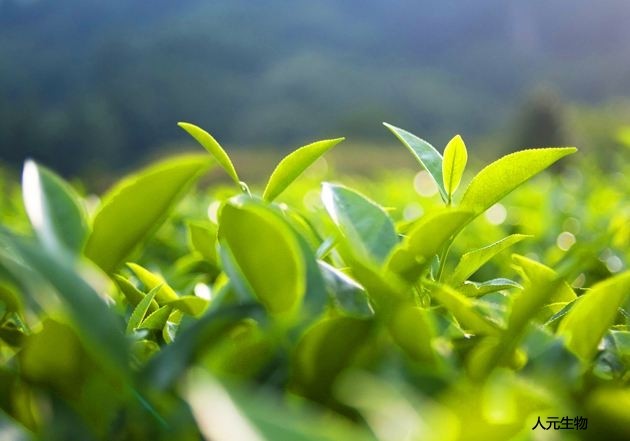 微生物菌劑為什么價格這么高還受到大家喜歡？