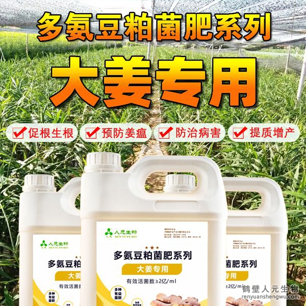 多氨豆粕菌肥系列大姜專用肥由河南省微生物菌劑工程技術(shù)研究中心研制，鶴壁市人元生物技術(shù)發(fā)展有限公司生產(chǎn)，本品是以固態(tài)發(fā)酵豆粕為主要原料，豆粕經(jīng)過(guò)有益微生物菌種發(fā)酵分解，充分釋放游離氨基酸，同時(shí)輔以枯草、地衣、膠凍樣芽孢桿菌等有益菌群。