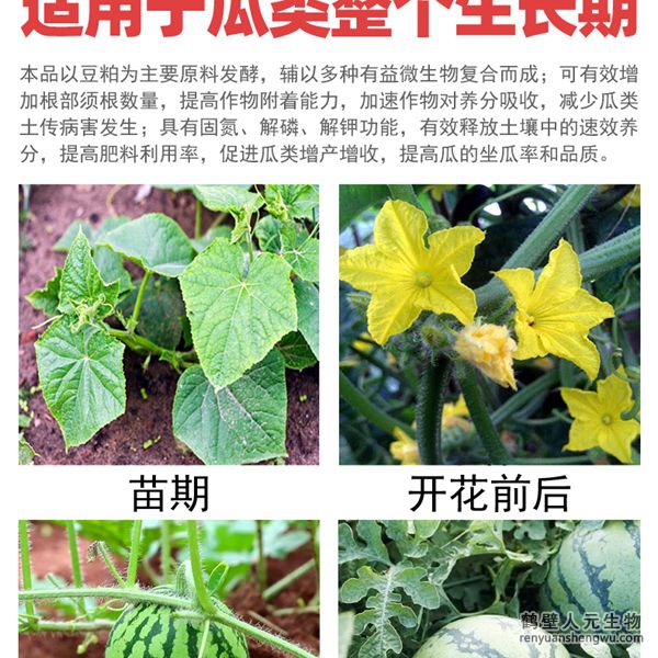 多氨豆粕菌肥系列瓜類專用肥適用范圍：適用于西瓜、甜瓜、哈密瓜等瓜類作物。