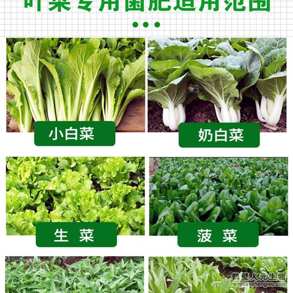 多氨豆粕菌肥系列葉菜類專用肥適用范圍：適用于生菜、雍菜、油菜、茼蒿、芹菜、菠菜、木耳菜、油麥菜、韭菜、娃娃菜、空心菜、菜心、莧菜等葉菜類作物。