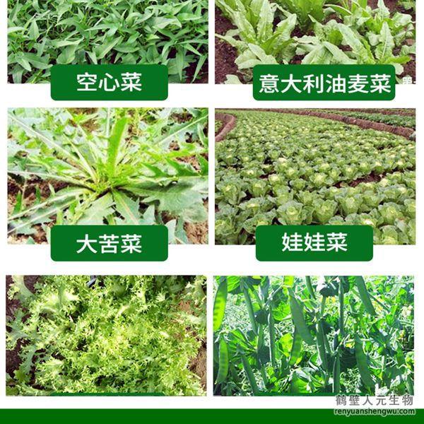 多氨豆粕菌肥系列葉菜類專用肥適用范圍2