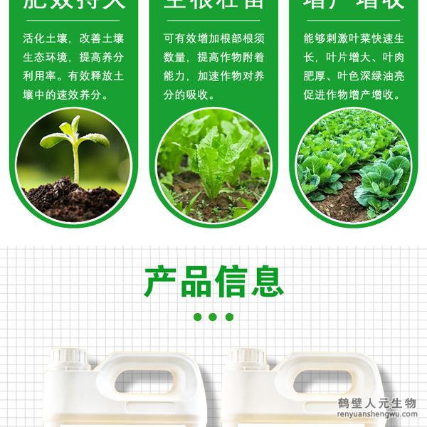 施用后各種營(yíng)養(yǎng)物質(zhì)能夠被葉菜迅速吸收并在體內(nèi)自由傳導(dǎo)，能夠刺激葉菜生長(zhǎng)細(xì)胞組織的快速分裂與增長(zhǎng)，使葉菜快速生長(zhǎng)，強(qiáng)化葉菜體內(nèi)新陳代謝，加速蛋白質(zhì)合成，促進(jìn)葉綠素的形成，增強(qiáng)光合作用，